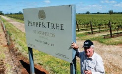 Pepper Tree Wines